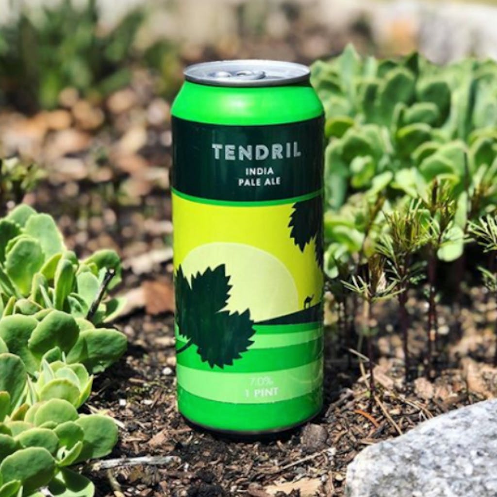 PROCLAMATION TENDRIL IPA