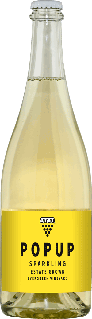 POPUP SPARKLING